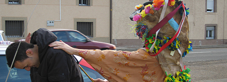 foto_7_Zangarr_n_de_Montamarta