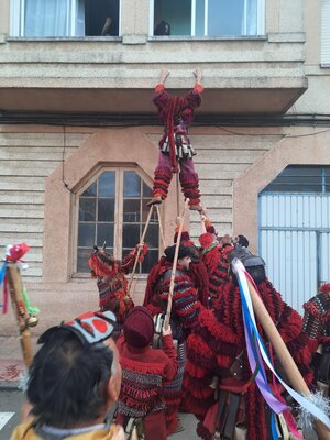 arcas_1