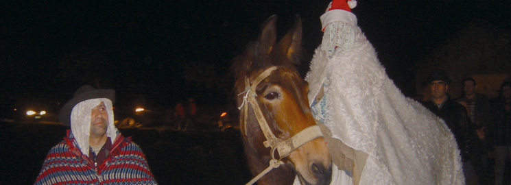 Festa de Santo Estêvão de Vale das Fontes