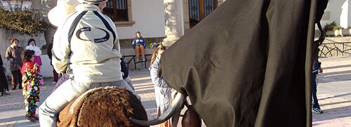 foto_8_La_vaca_Bayona_de_Almeida_de_sayago