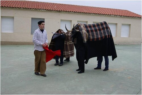 Foto_13_vaca_antrueja_pereruela